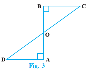 Page 171 Chapter 16 Class 9th NCERT Exemplar